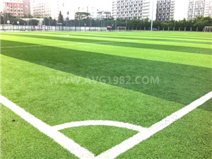 深圳大學(xué)大運(yùn)會(huì)場地