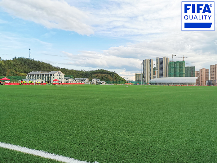 喜訊 | 江西定南國家訓(xùn)練基地獲FIFA國際足聯(lián)場地認(rèn)證！