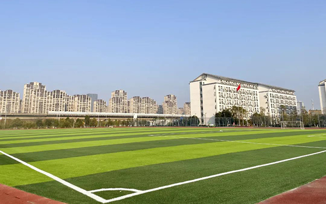 學校體育|體教融合該怎么融？